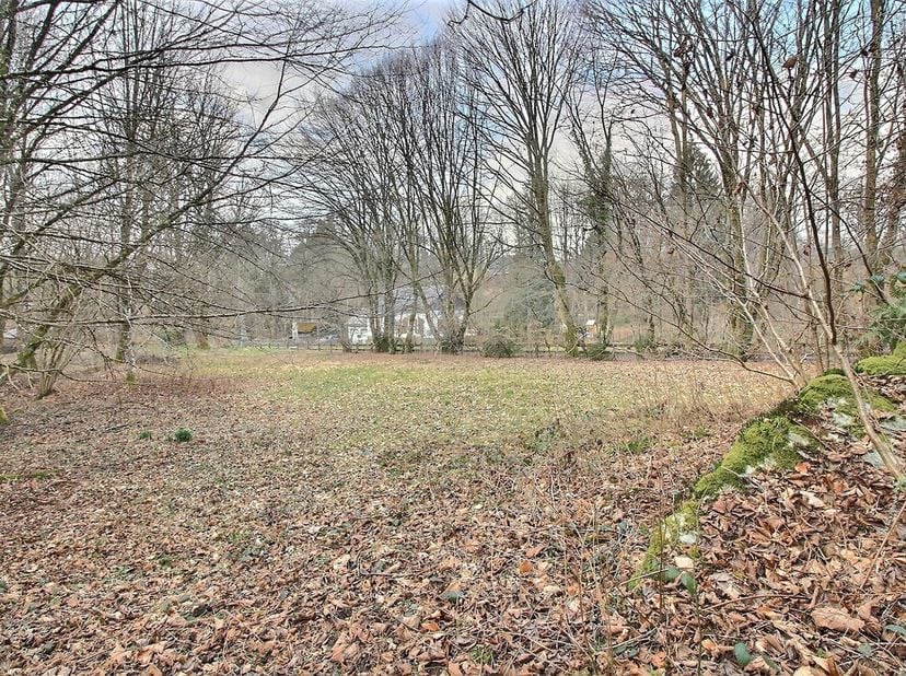 Grond te koop
                    in 6870 Saint-Hubert