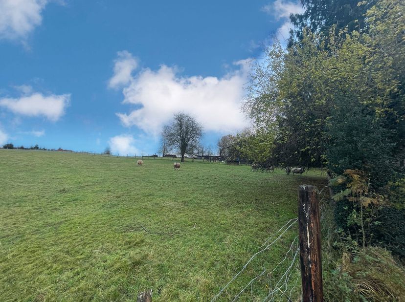 Dans le petit hameau de Six-Planes, venez découvrir ce beau terrain de 35 ares et 80 centiares! Il possède 2 accès : l&#039;un pour accéder directement à l