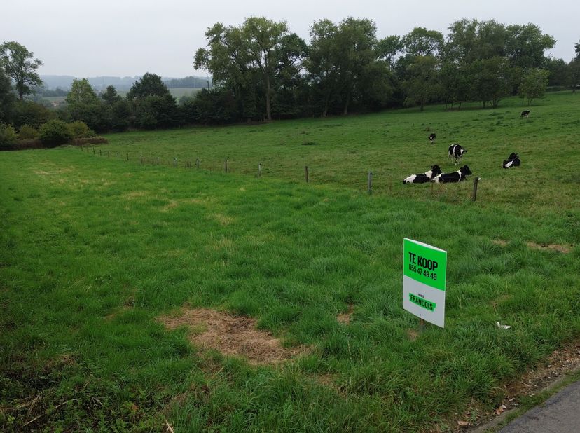 Dit zuid georiënteerde stuk bouwgrond met een oppervlakte van 1540 m² situeert zich in een rustige verkaveling te Elzele, vlakbij de Vlaamse stad Rons