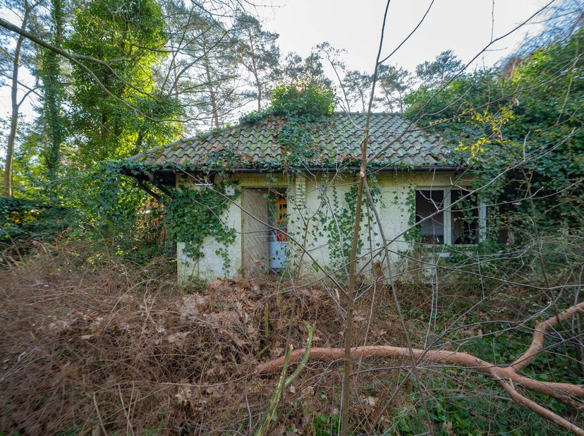 Maison à vendre
                    à 2820 Rijmenam