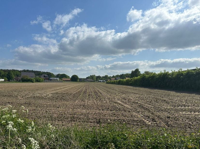 Terrain à vendre
                    à 2230 Herselt