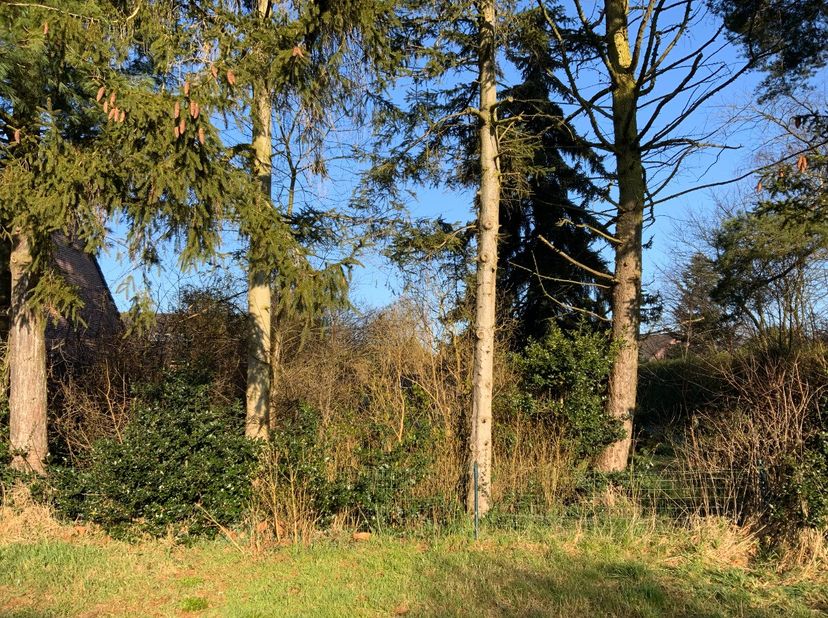 Beringen  Rustig en groen gelegen bouwgrond te koop! Bent u op zoek naar een bouwgrond in een groene en rustige omgeving, maar toch vlak bij alle voor