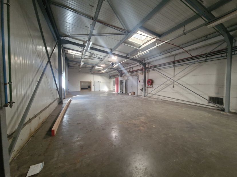 Bestemming Sud de Nivelles - 300 m² magazijn&lt;br /&gt;
Magazijn met gladde betonnen vloer, vrije hoogte van 4 meter, sectionale poort, verlichting en sani