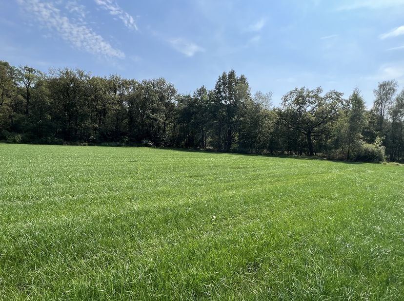 Terrain à vendre
                    à 2300 Turnhout