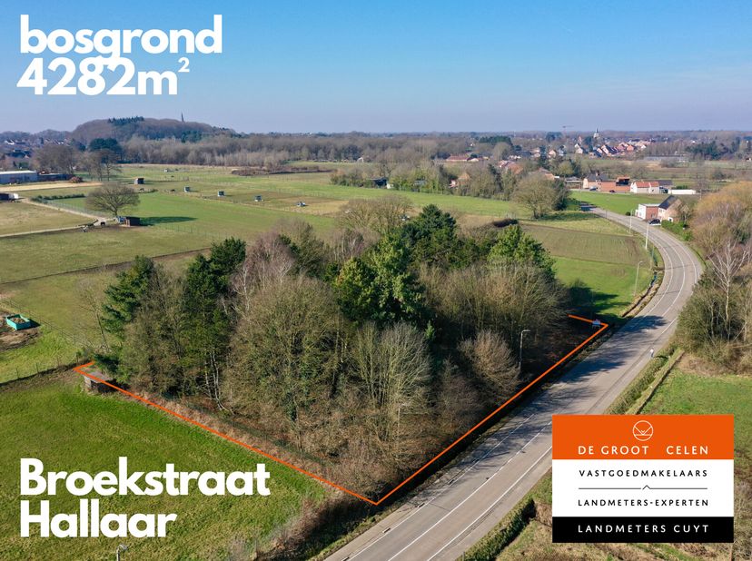 Ben je graag buiten bezig met hout of gewoon een natuurliefhebber? Deze 4282m² bosgrond biedt leuke mogelijkheden. Ideaal voor wie graag zijn eigen vo