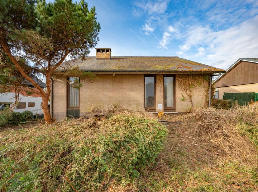 Maison à vendre
                    à 3051 Sint-Joris-Weert