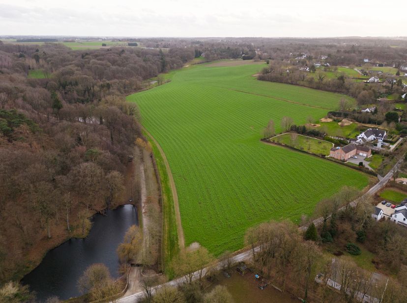 Lasne - proche du centre, à proximité de tous les commerces, dans une petite rue calme, magnifique terrain de 56 ares 73 ca exposé plein sud. Zone de