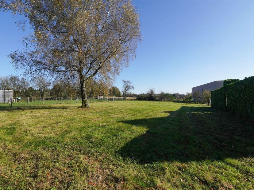 Situé dans une rue en cul de sac, dans le village buccolique de Malvoisin (commune de Gedinne), l&#039;Agence Petyt vous propose un terrain d&#039;une contenanc