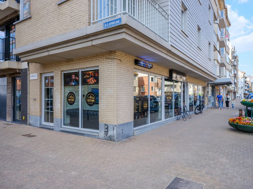 Bien professionnel à vendre
                    à 8660 De Panne
