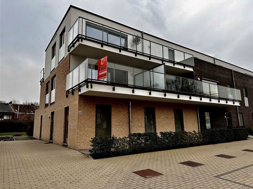 Appartement à louer
                    à 9700 Leupegem