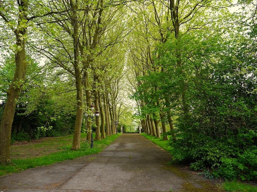 On accède à cette propriété par une longue allée bordée d&#039;arbres imposants.&lt;br /&gt;
Le domaine d&#039;environ 1 hectare est une oasis de paix et d&#039;intimité,