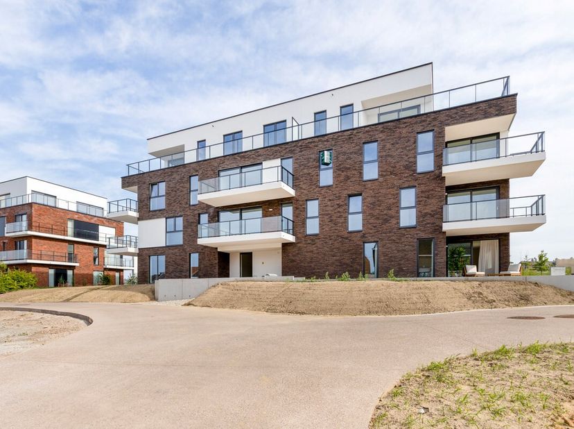 Appartement à vendre
                    à 9600 Renaix
