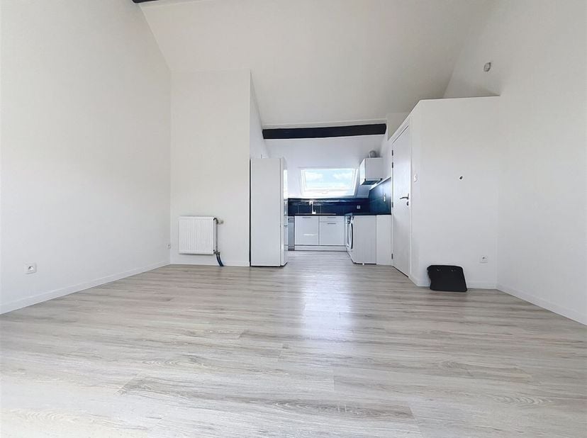 Somptueux studio entièrement rénové à deux pas de la Porte de Hal, première occupation après rénovation de +/-40m². Situé au dernier étage d&#039;un immeub