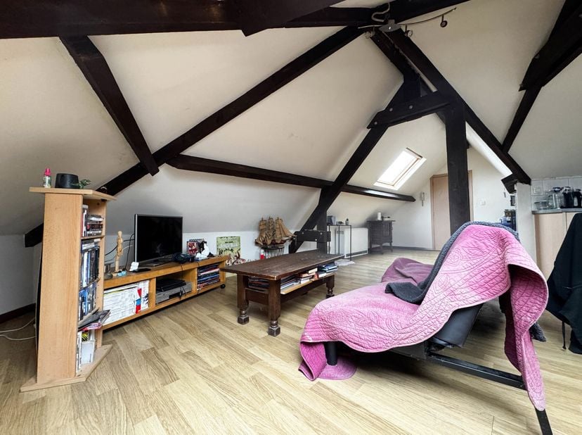 Idéalement situé sur la place du village de Kain, au sein d&#039;une petite copropriété de 6 lots rénovée en 2006, ce bel appartement 1 chambre, actuelleme