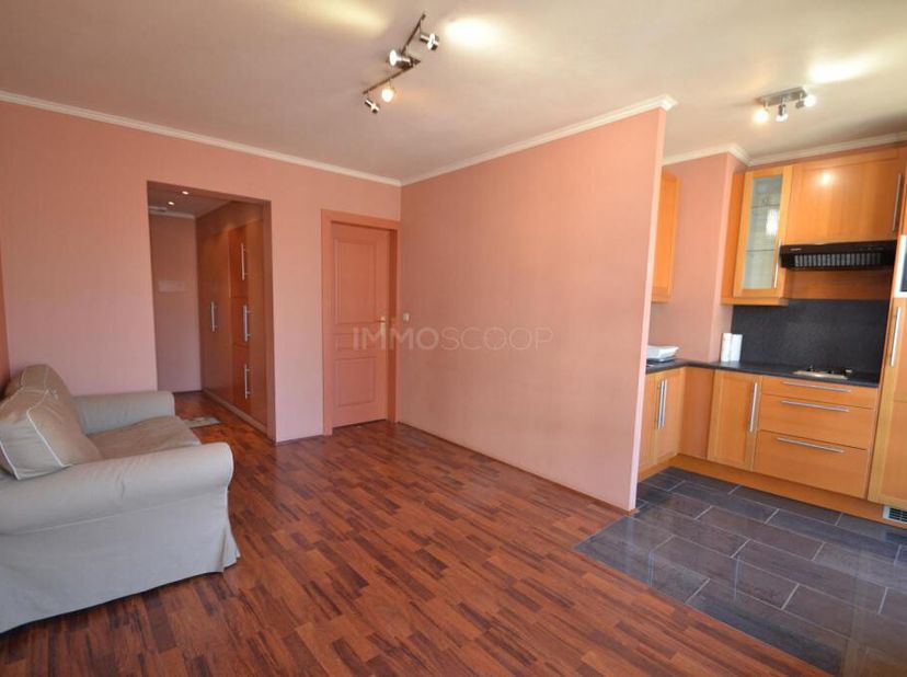 Lumineux appartement au 3è étage (avec asc) avec hall (nombreux placards), cuisine équipée ouverte sur le sejour,  salle de bains,  chambre séparée av