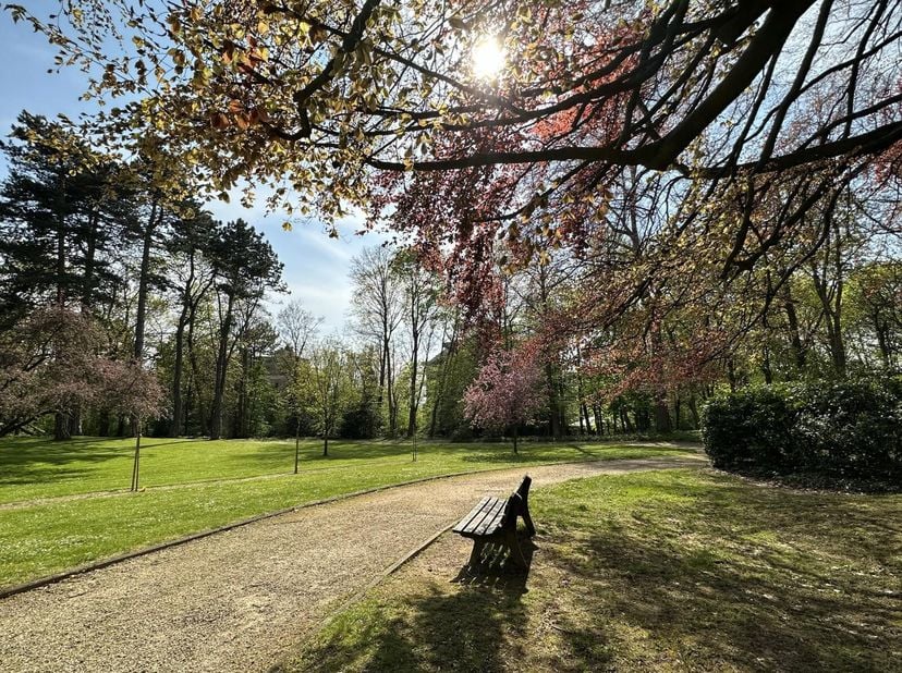 Parc du Cherridreux/Observatoire. Sublime appartement MEUBLE rénové denviron 150m² avec vues imprenables sur le parc. En intérieur dîlot, ce sublime a