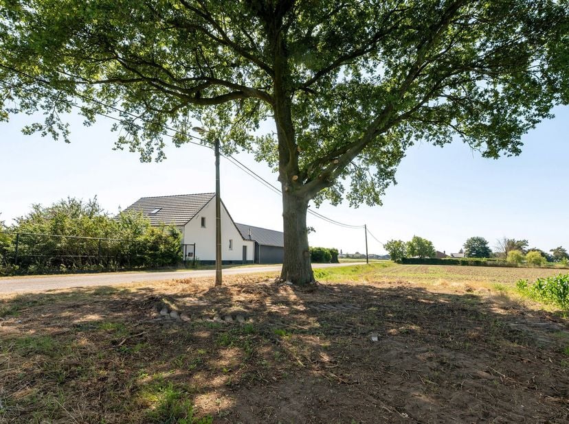 Op een steenworp van de Nederlandse grens ligt deze sfeervolle hoeve met prachtig zicht op velden en weilanden. De woning werd volledig gerenoveerd me