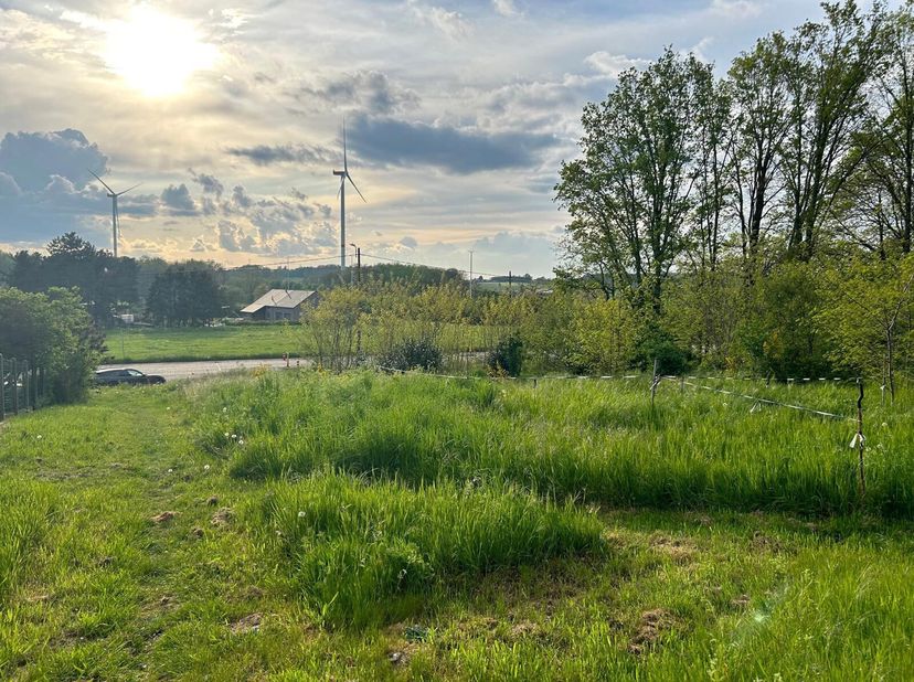 Gelegen in het landelijke groen te Bekkevoort bieden wij u twee loten bouwgrond wachtende op een koper die er zijn woonst wenst te bouwen. Met een gro