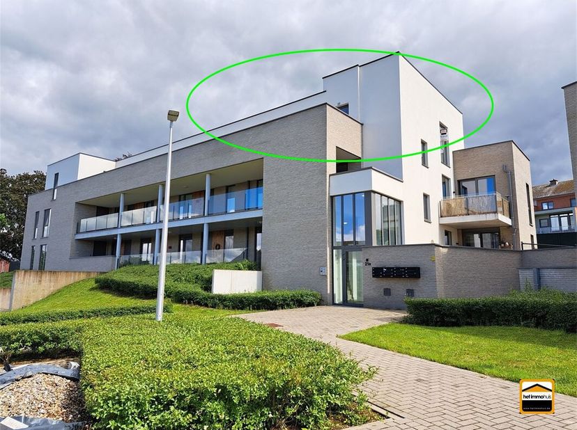 Appartement à louer
                    à 3840 Borgloon