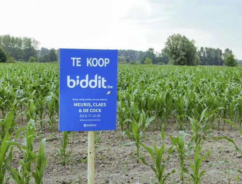                                         Grond te koop in Berlare, € 57.000
