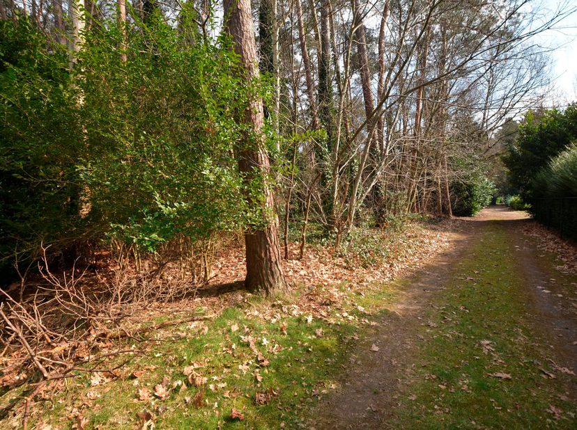 Perceel recreatiegrond van 1.118 m² met perceelsbreedte van ca. 30 meter en een diepte van ca. 36 meter Gunstig gelegen te Westerlo en bereikbaar met