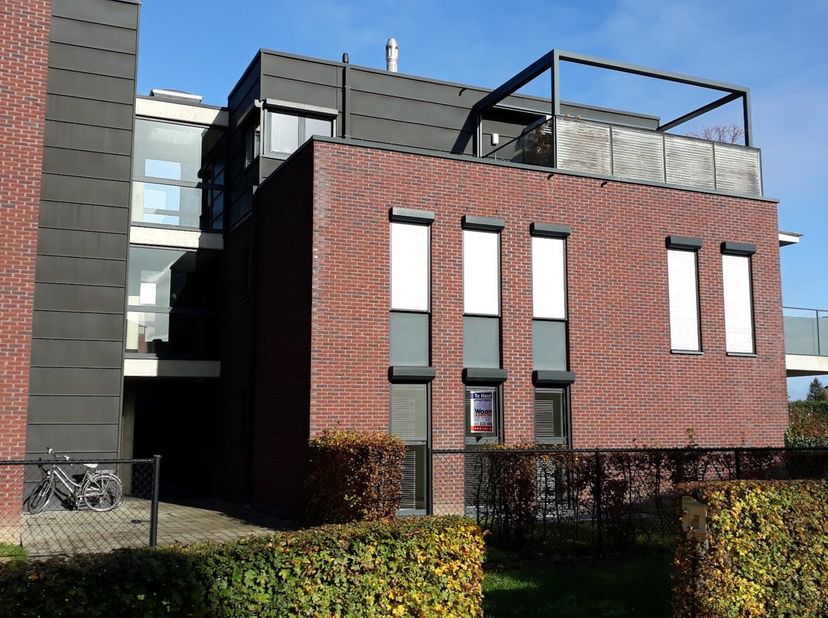 Instapklaar appartement nr. A4 - gelijkvloers achterkant.  Bestaande uit hall, apart toilet, living met open keuken (kasten, inox afwasbak, gasfornuis