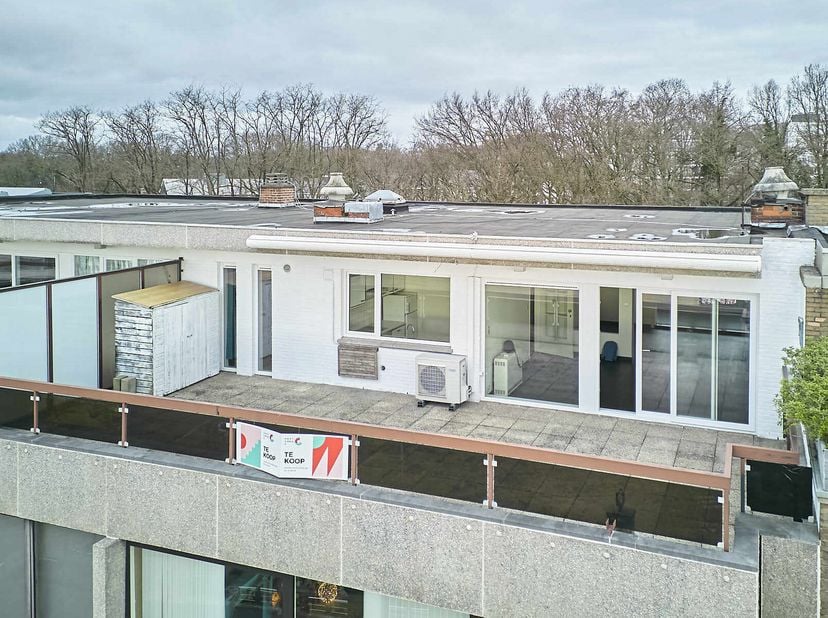Ruim dakappartement met 3 slaapkamers en een groot zonneterras met uitzicht op Molenvijverpark.&lt;br /&gt;
Wandel de Europalaan over en je komt in shopping