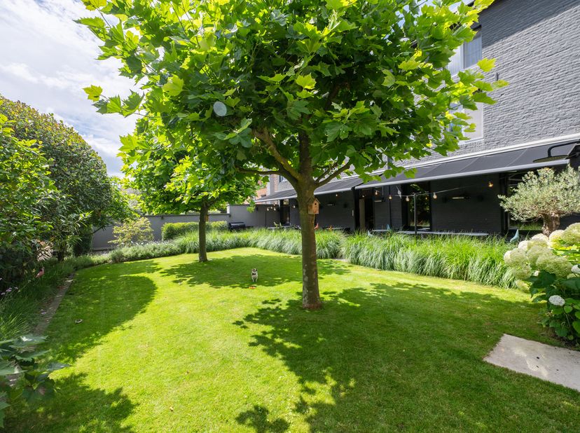 Maison à vendre
                    à 3700 Tongeren