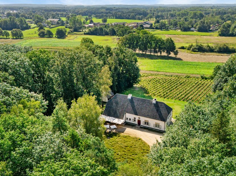 Prachtig, rustig gelegen, wijndomein te Herselt op een perceel van circa 5,1 hectare. Het domein omvat verschillende gebouwen waaronder een woning, ee