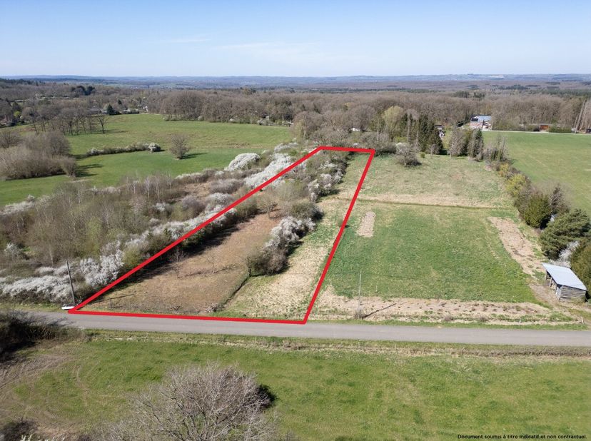 ERA B-LUX stelt met plezier dit prachtige perceel van 4.217 m² voor, ideaal gelegen in Biron, een deelgemeente van het charmante Érezée.Dit vlakke ter