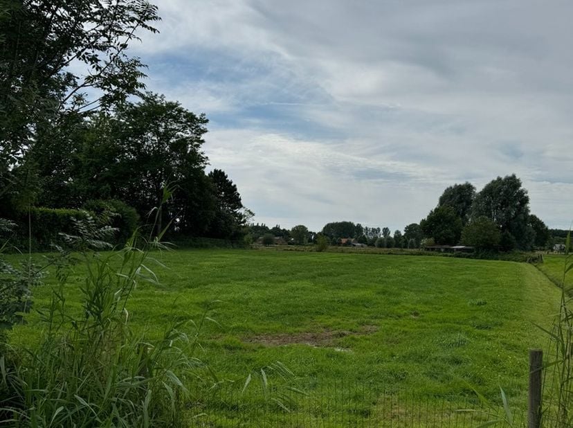 Terrain à vendre
                    à 2500 Lier