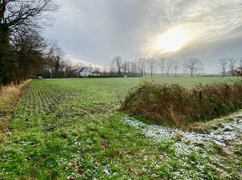 Bien professionnel à vendre
                    à 2040 Berendrecht