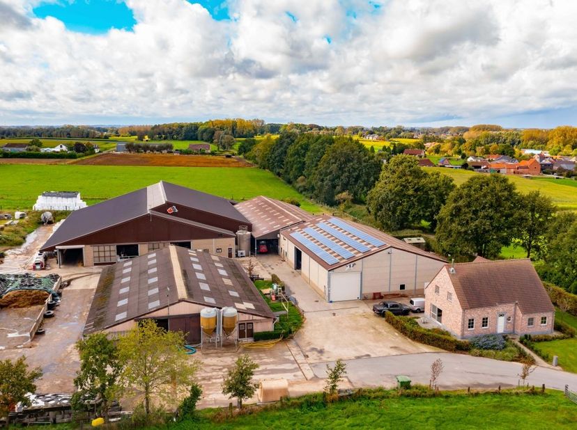 Top melkveebedrijf te koop te Baardegem&lt;br /&gt;
&lt;br /&gt;
Bestaande uit :&lt;br /&gt;
&lt;br /&gt;
Nieuwe ruime comfortabele woning (bouwjaar 2014)&lt;br /&gt;
Nieuwe melkve