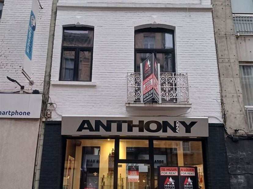 FAIRE OFFRE A PARTIR DE 650.000€ MINIMUM, SOUS RESERVE D&#039;APPRECIATION ET D&#039;ACCEPTATION DU PROPRIETAIRE (*). Excellente situation : rue de Linthout : q