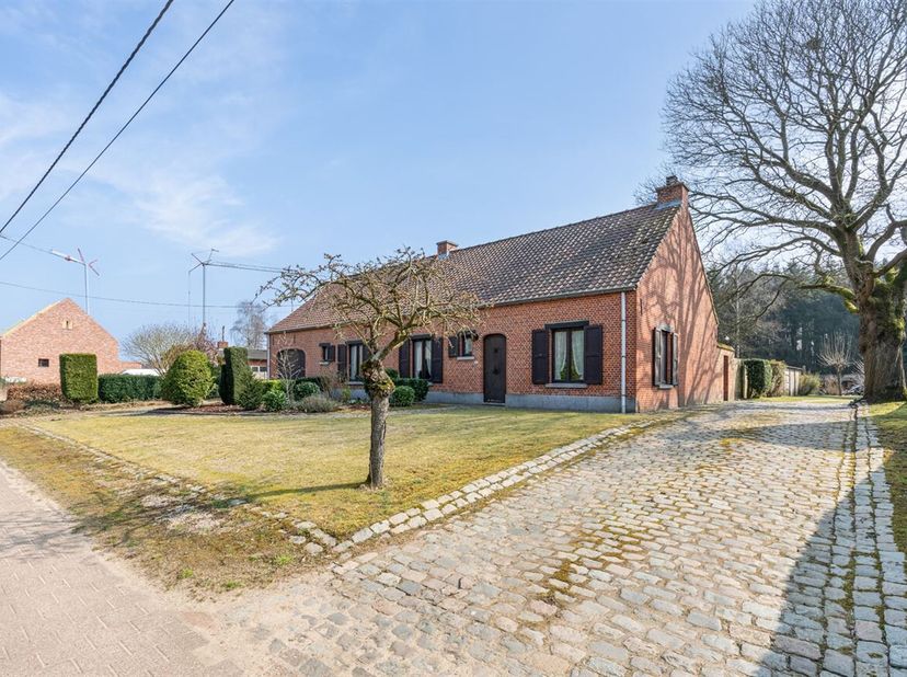 Op zoek naar ruimte, rust én charme? Deze hoeve op een perceel van 37a biedt het allemaal. Gelegen in een groene, landelijke omgeving in Balen, op sle