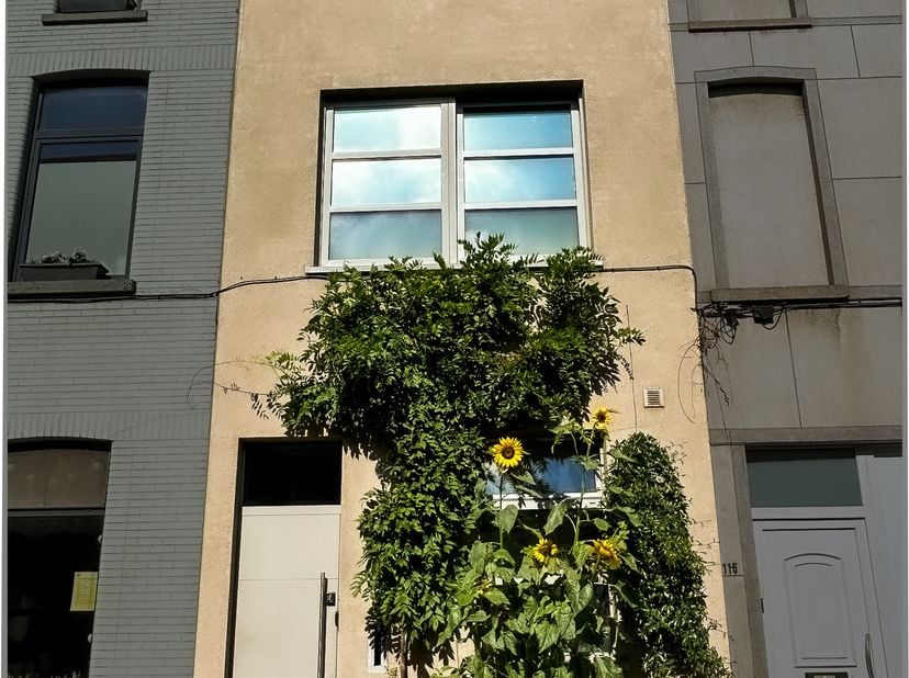 Maison à vendre
                    à 9000 Wondelgem