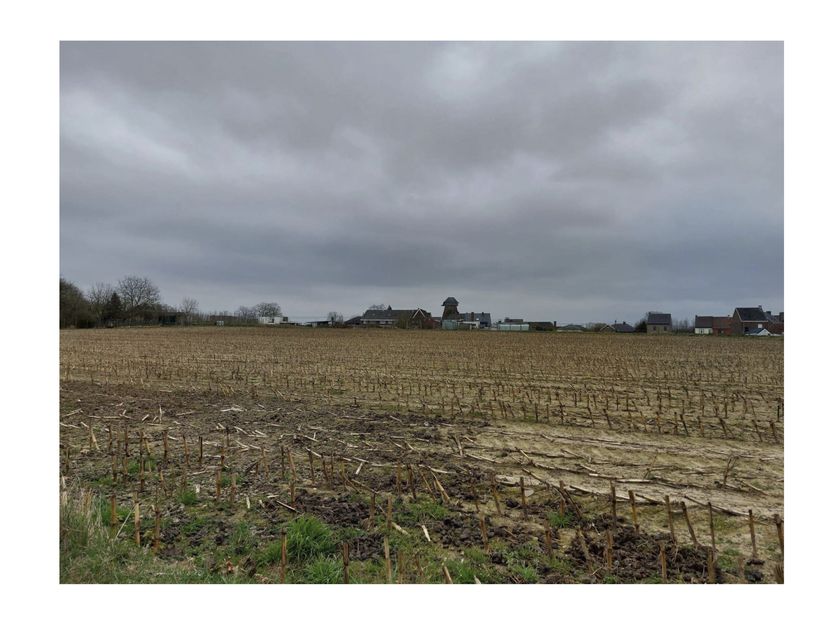 Terrain à vendre
                    à 9860 Balegem