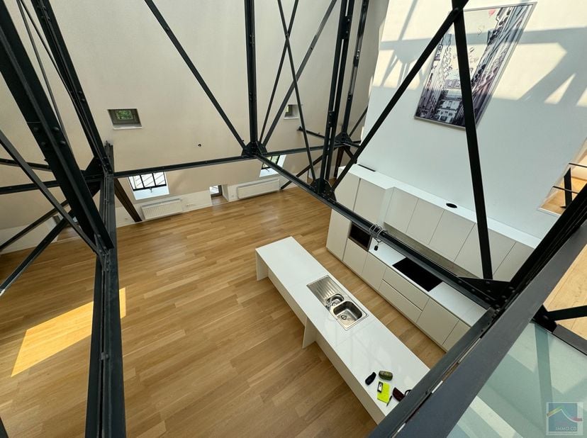De la lumière, de la lumière et encore de la lumière ....c&#039;est ce que nous offre ce loft totalement hors du commun qui , grâce à sa magnifique verrièr