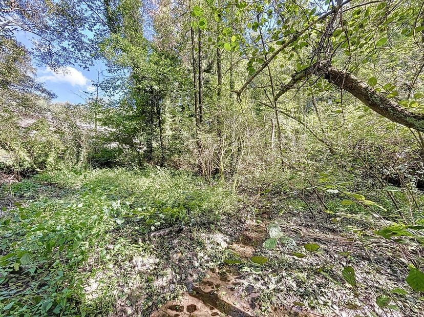 CHAUMONT-GISTOUX - Gelegen in het landelijke dorpje Dion-Valmont, langs een rustig bosrijk pad, presenteert AMELOT PROPERTIES dit land van +/- 12a 80c