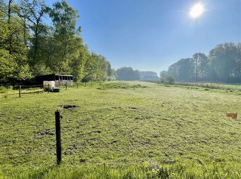 Vous êtes à la recherche d&#039;un terrain spacieux dans une région calme et verdoyante ? Ce terrain de 7 370 m² est situé dans la région rurale de Stekene