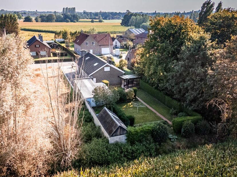 Maison à vendre
                    à 9990 Maldegem
