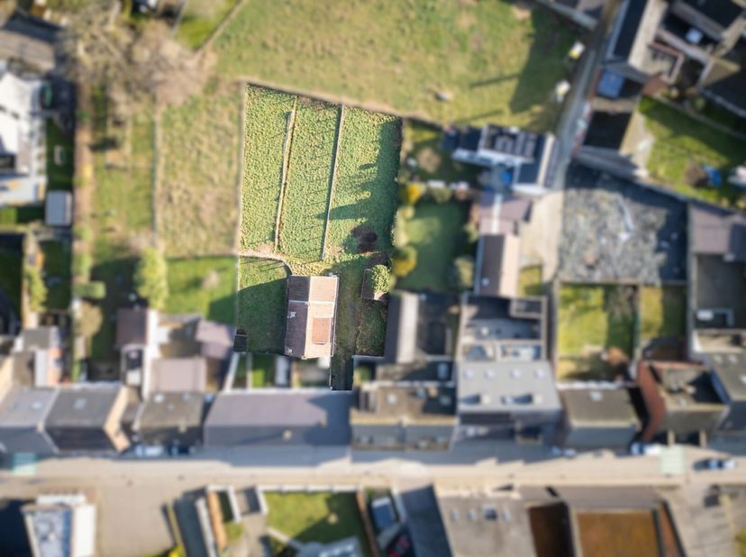 Terrain à vendre
                    à 9450 Denderhoutem