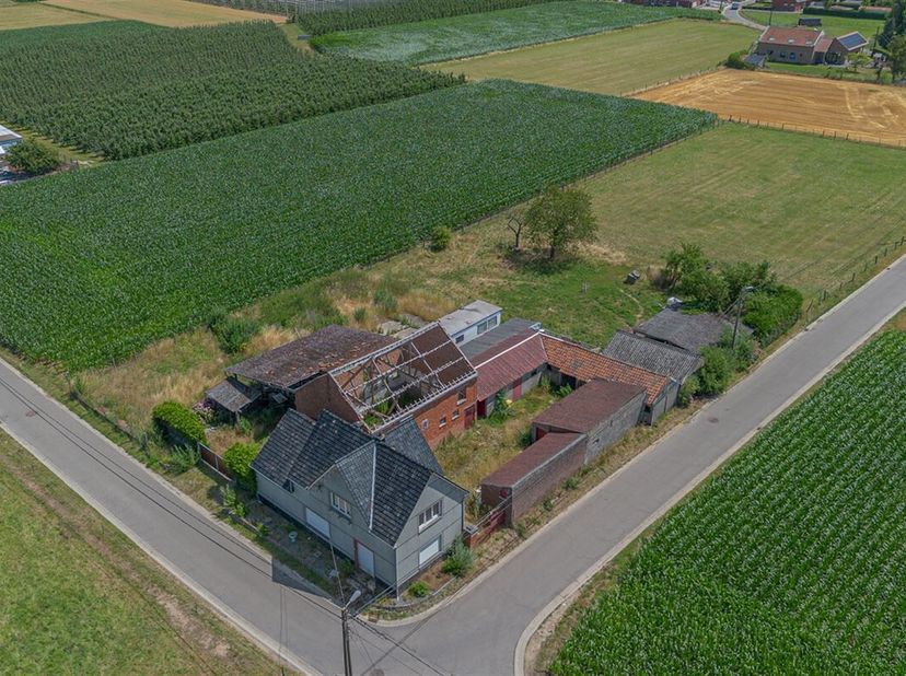 Maison à vendre
                    à 3440 Budingen