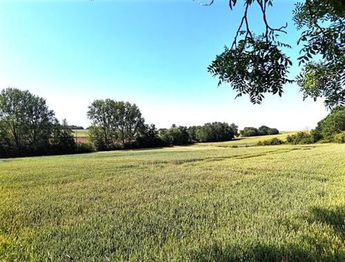                                         Terrain agricole à vendre à Walcourt, € 86.470
