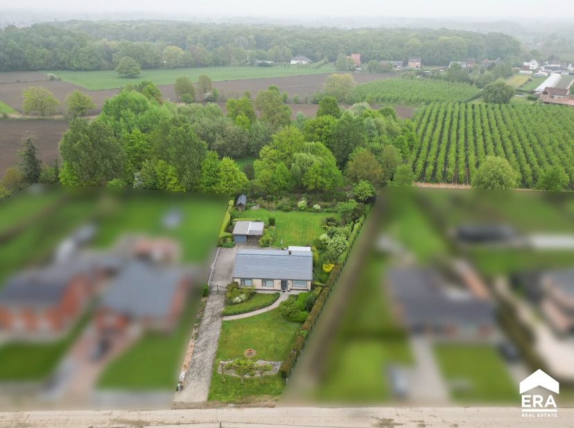 Gelijkvloerse en goed onderhouden woning met mooie tuin, residentieel gelegen in Spalbeek (Hasselt). Voor meer informatie ga naar https://www.era.be/n