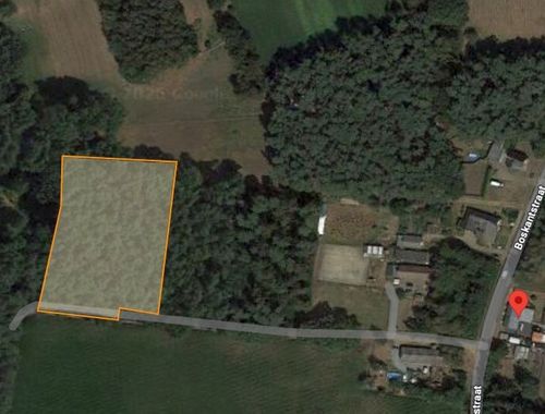                                         Bos te koop in Beverlo, € 40.000
