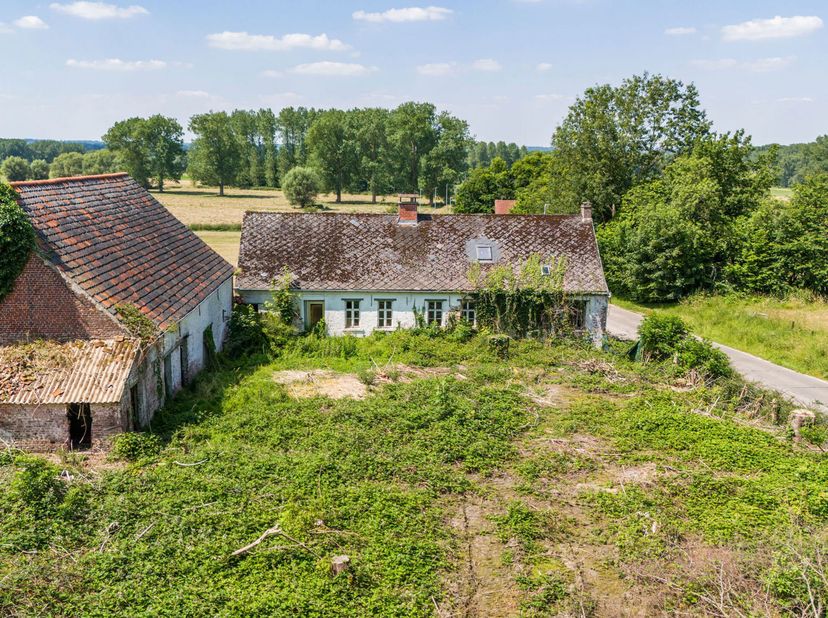 Gelegen te Zandbergen op 4 km van Denderwindeke.... Wonen zonder buren ? Met zicht op eigen veld en bos?  Dat kan.  Wij bieden u deze authentieke, vol