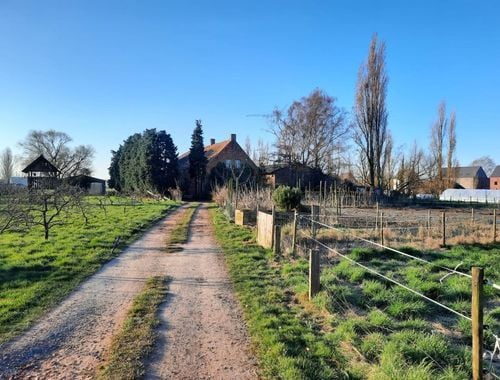                             Hoeve te koop in Stabroek
