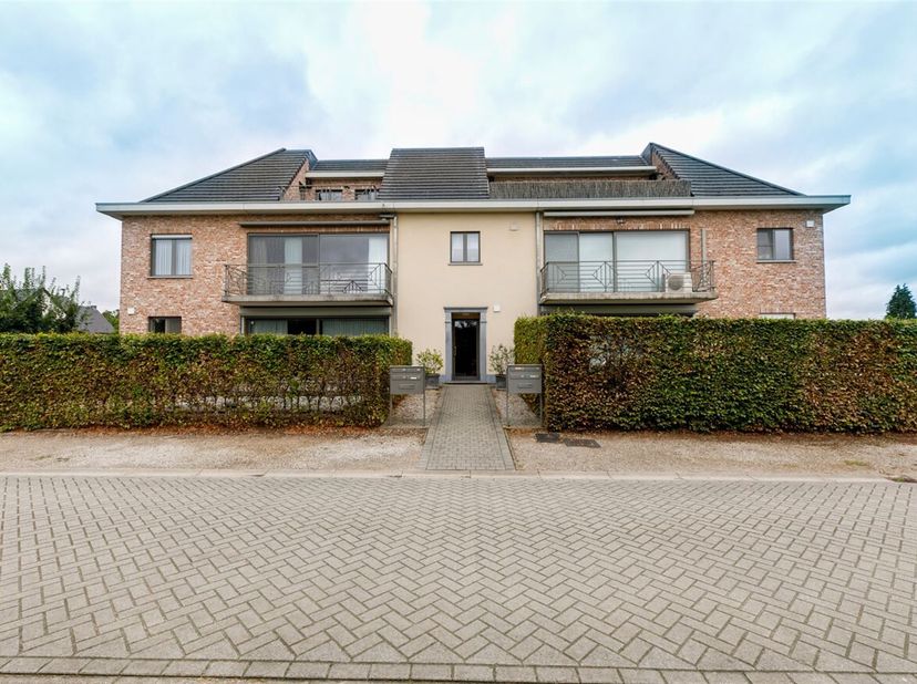 Appartement à louer
                    à 2275 Poederlee