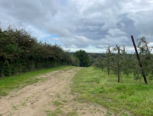                                         Terrain agricole à vendre à Loksbergen, € 302.500
